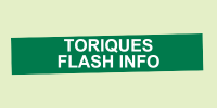 FLASH Toric